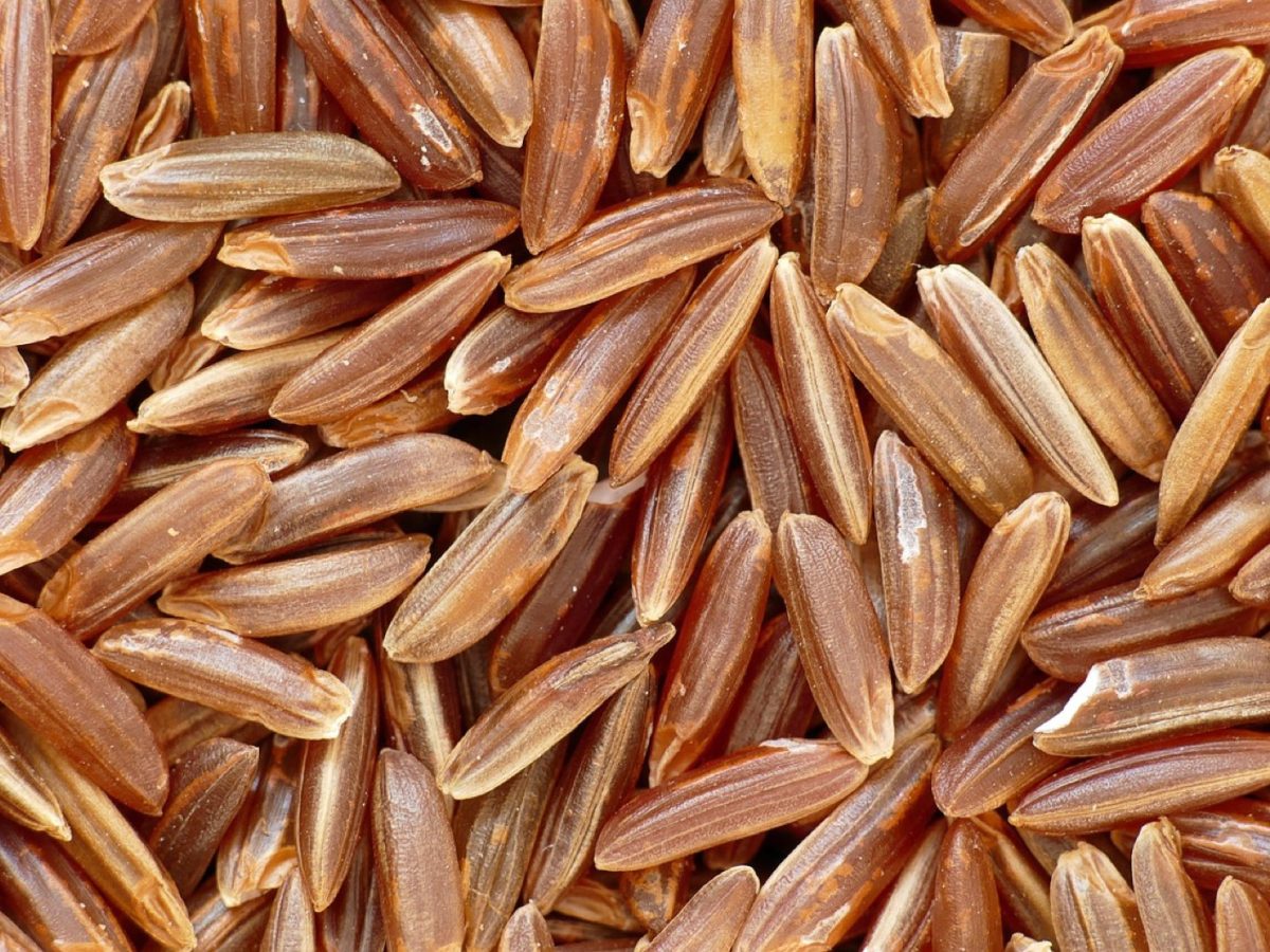 Pourquoi le prix du lait et du riz pourrait encore s’envoler