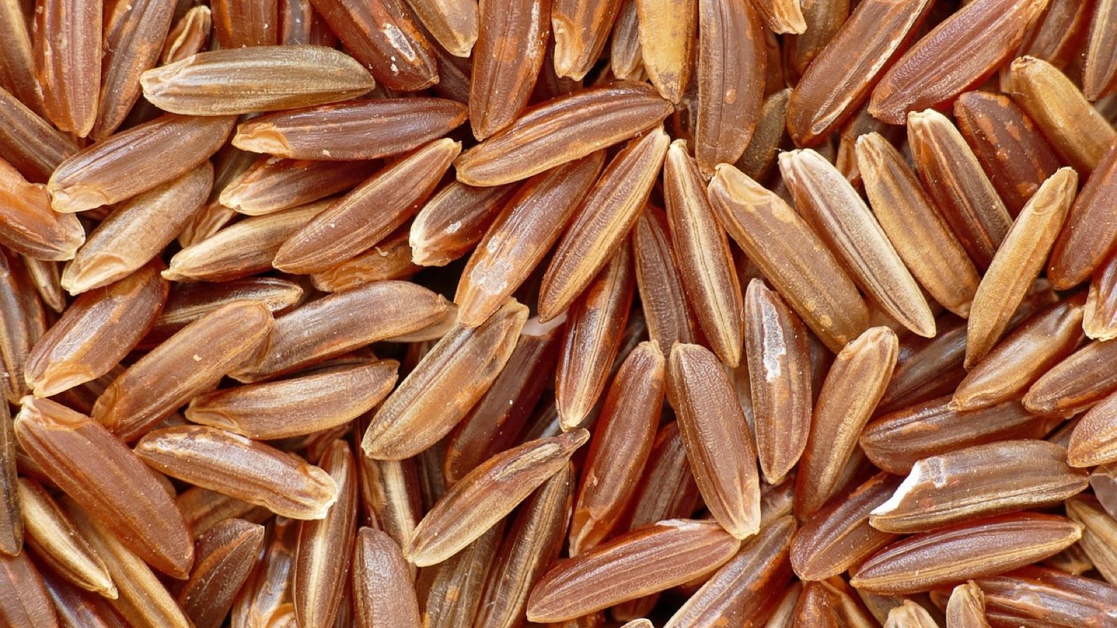 Pourquoi le prix du lait et du riz pourrait encore s&rsquo;envoler